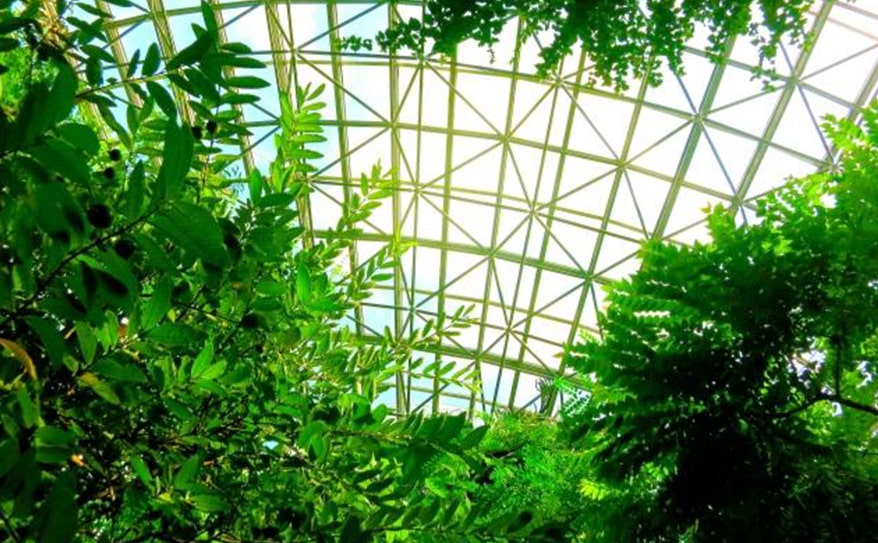 植物園のすすめ