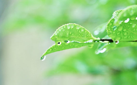 雨の日にも子ども目線でお出掛けしてみよう