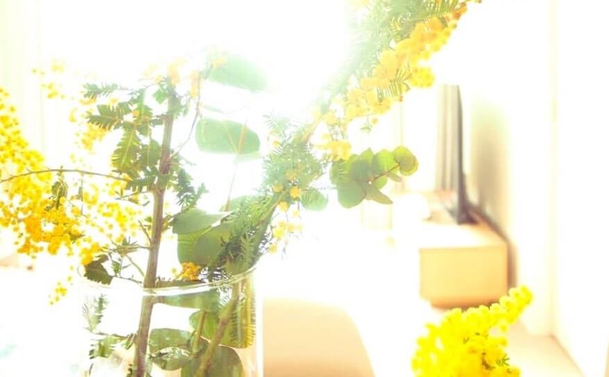 ちょっとしたお花でも変わる気持ち