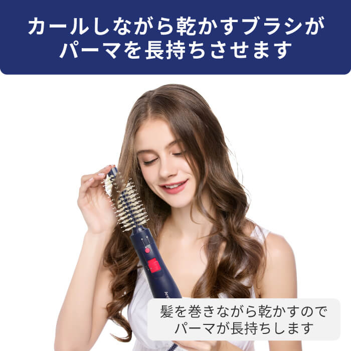 Volume Styler 地肌ケア ブラシ ドライヤー d1710IDG