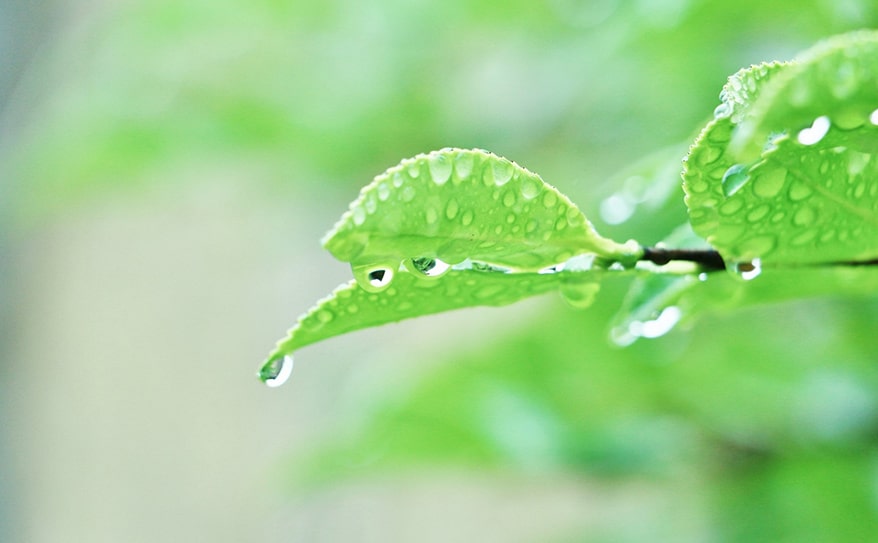 雨の日にも子ども目線でお出掛けしてみよう