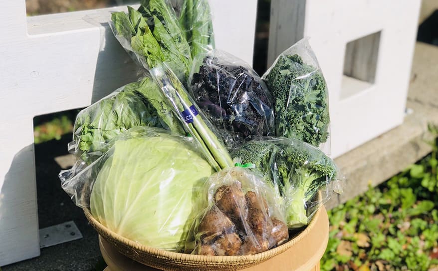 農家×廃校！旬の野菜で笑顔になれる、福岡発の新サービス「ぱれっと直送便」！
