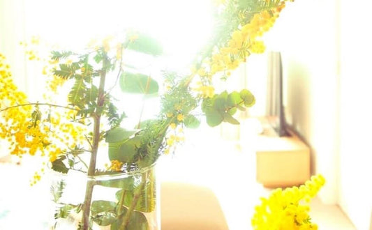ちょっとしたお花でも変わる気持ち