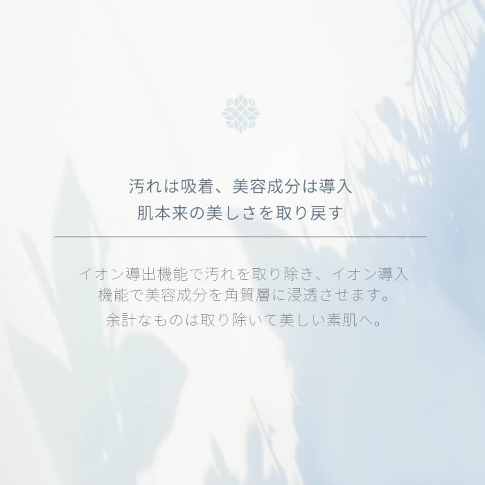 【クリアランスセール】 美顔器  Wrinkle(L)