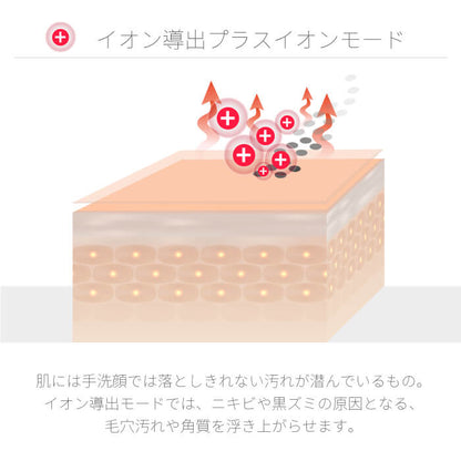 【クリアランスセール】 美顔器  Wrinkle(L)