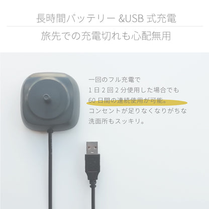 ホワイトニング 歯周病予防 着色汚れ 電動歯ブラシ t2036YL